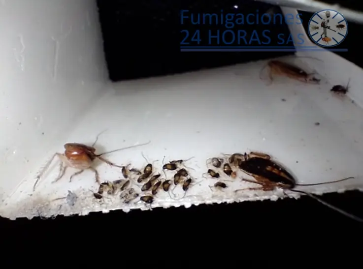 Productos de control físico