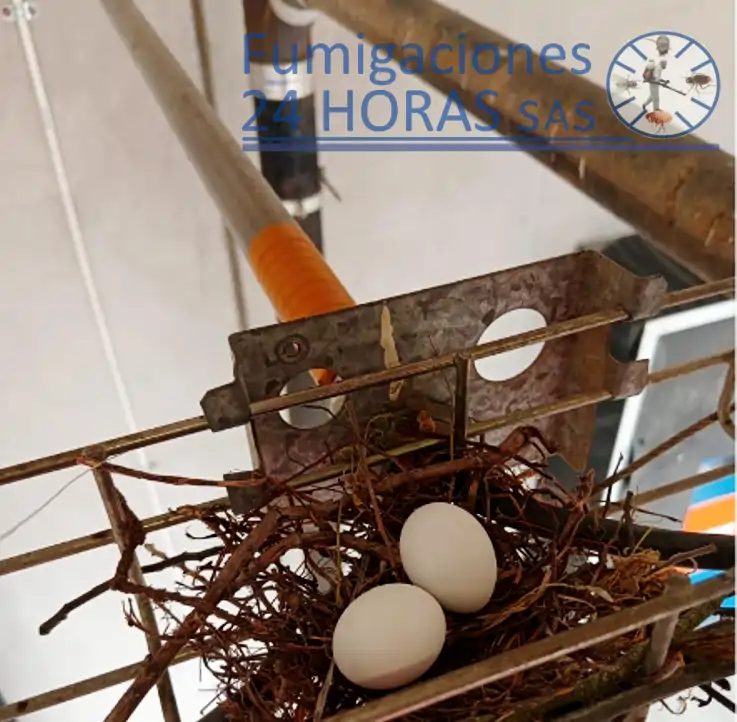 Sistemas de Control de Aves
